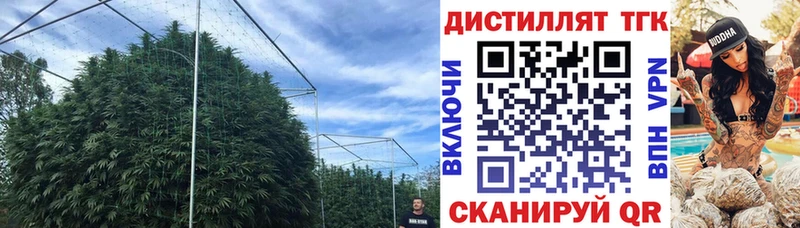 ТГК концентрат Нытва